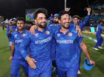 这种策略无 这种策略无