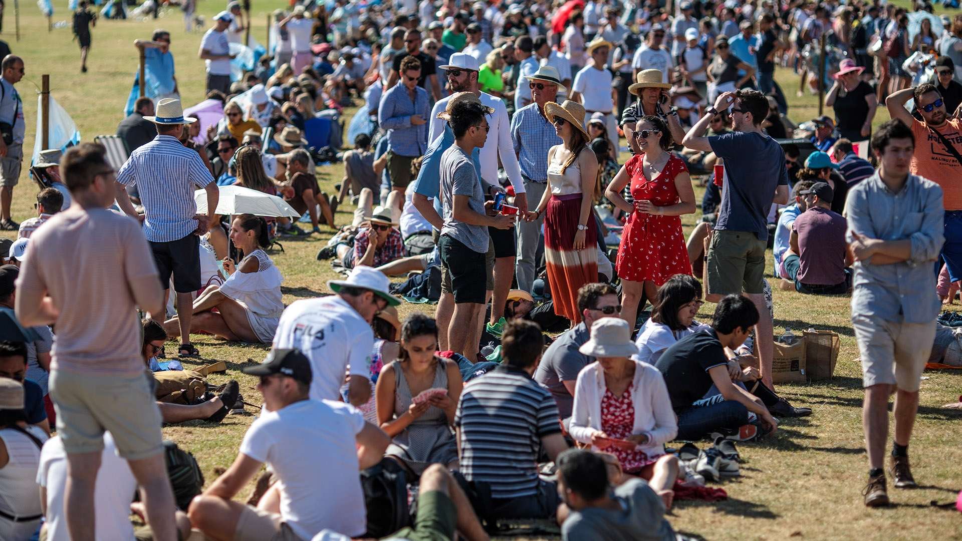 如果仅仅为 如果仅仅为