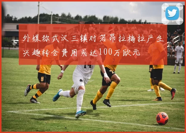 外媒称武汉三镇对若昂拉梅拉产生兴趣转会费用或达100万欧元