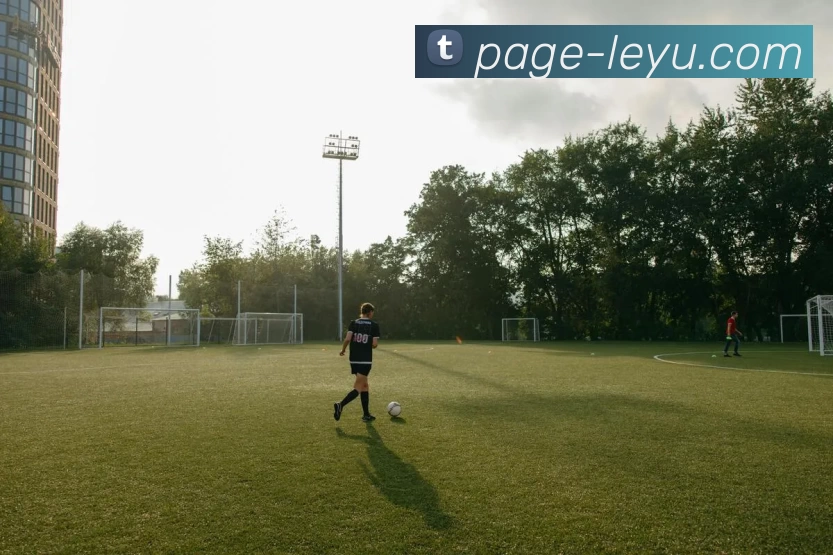 乐鱼体育平台生态图